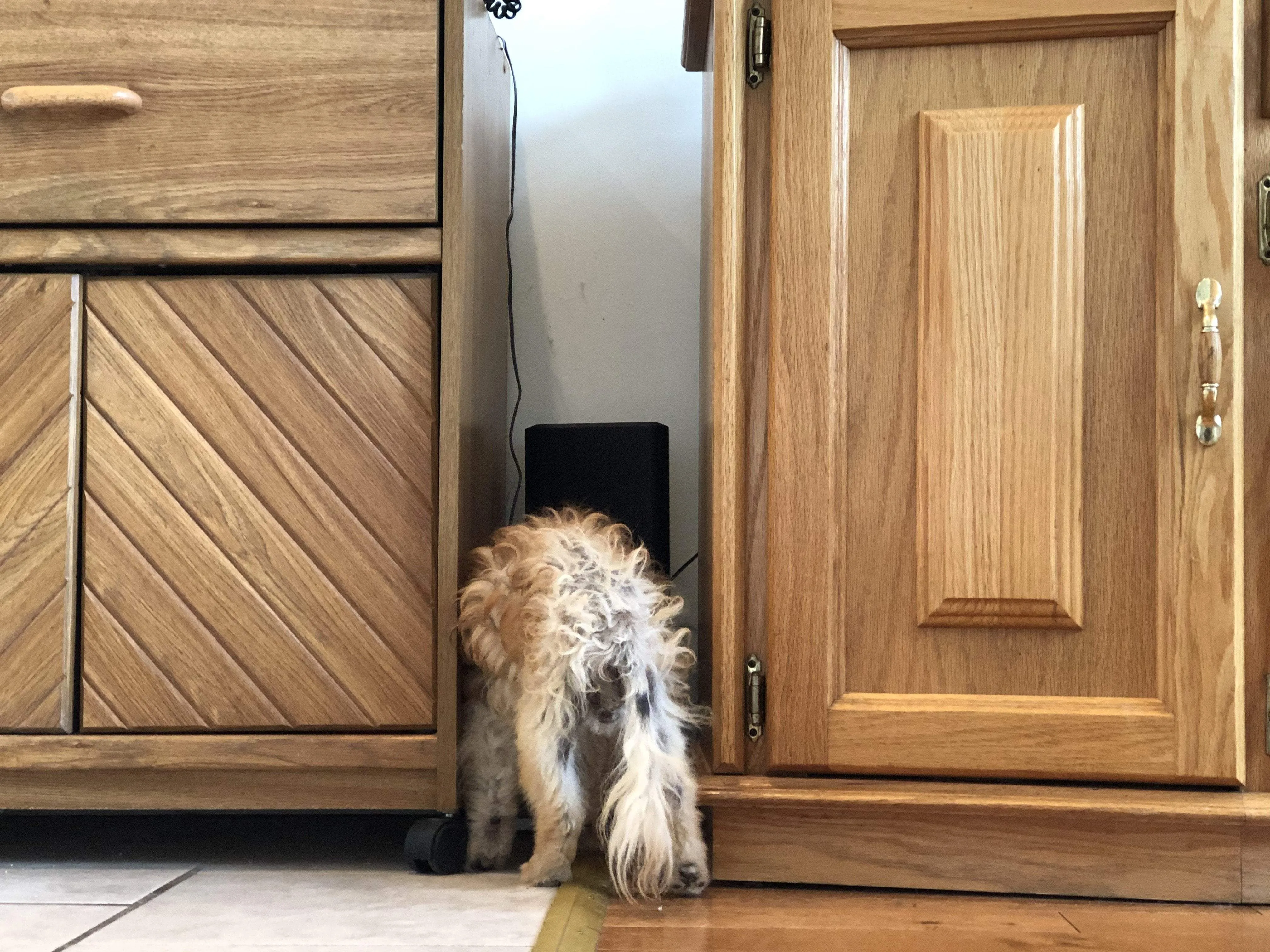 Bamboo Blocker™ - Foldable Accordion Dog Barrier