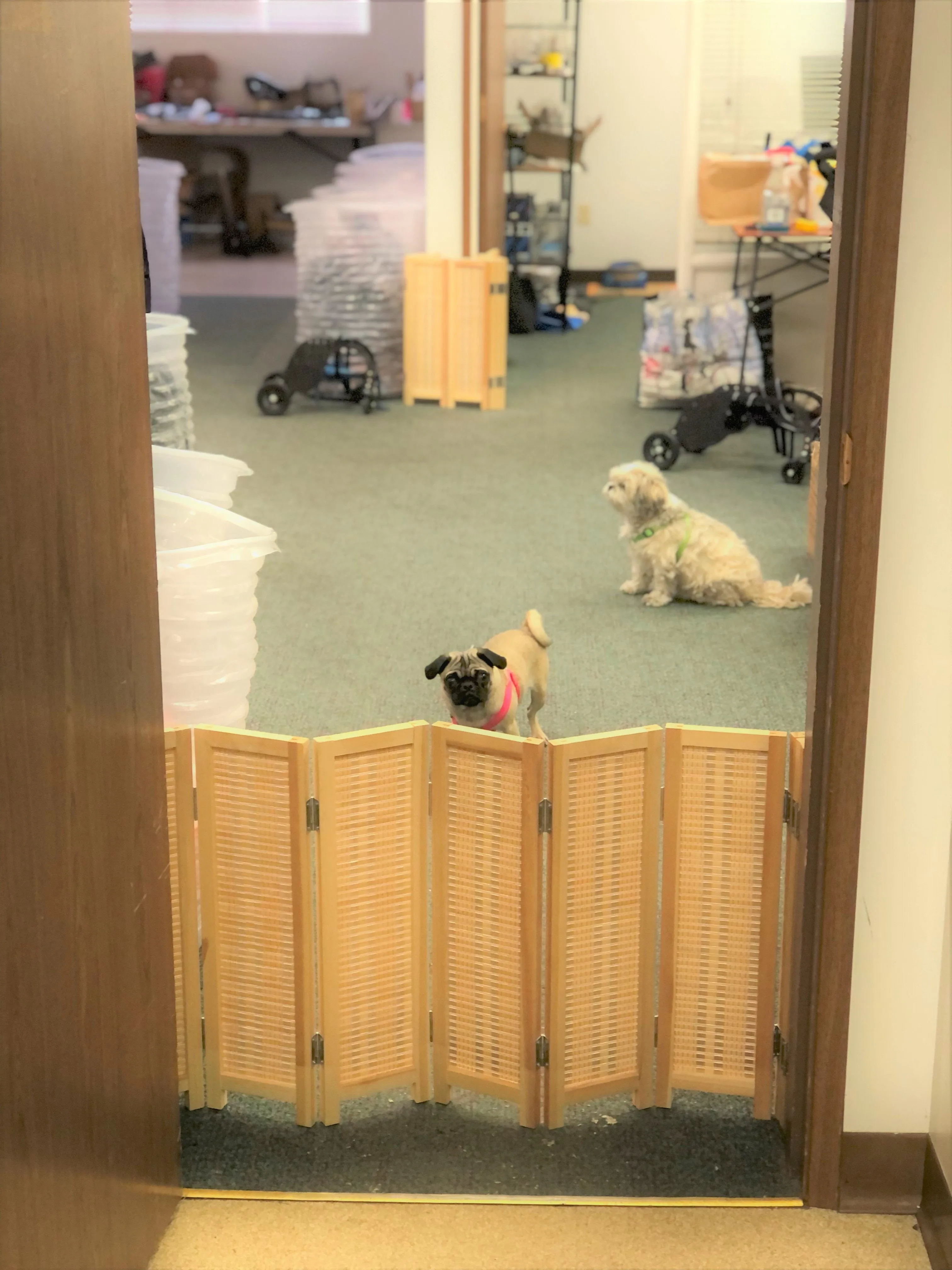 Bamboo Blocker™ - Foldable Accordion Dog Barrier