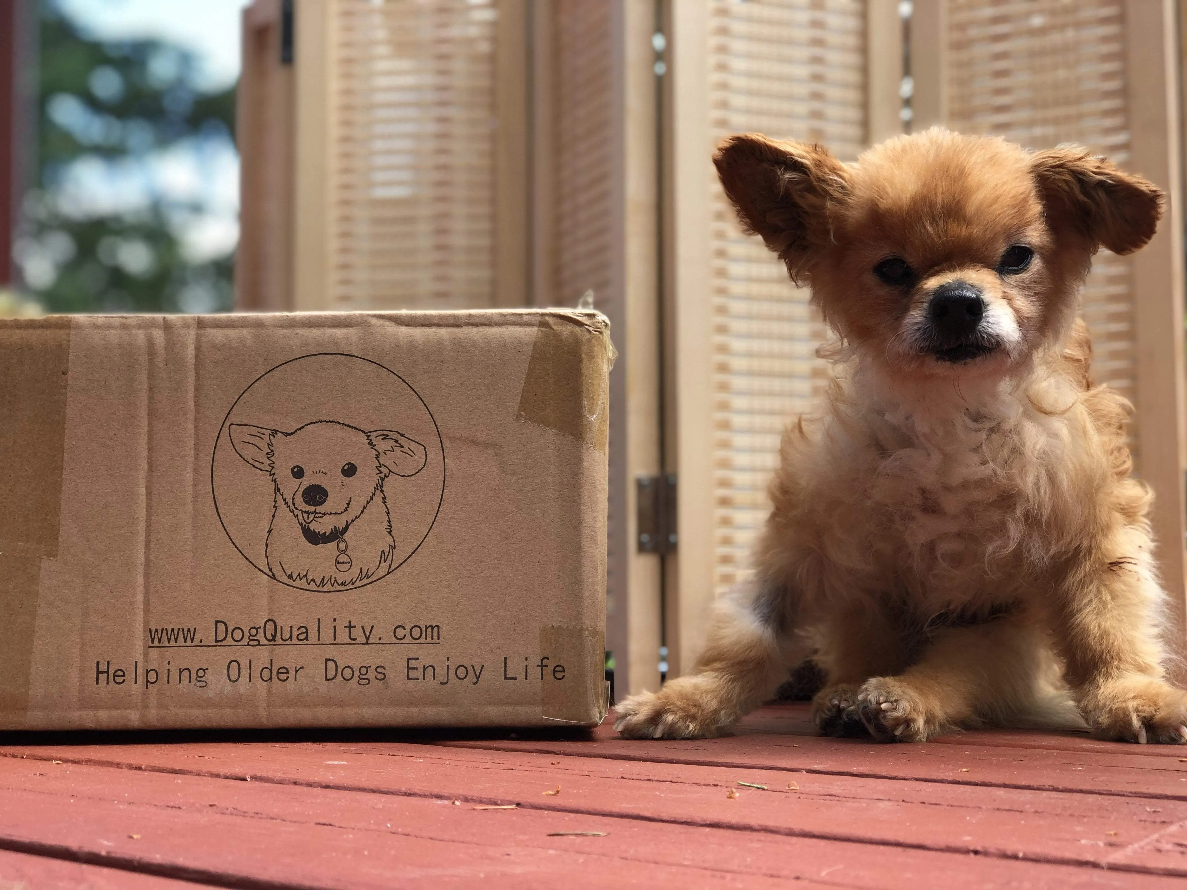 Bamboo Blocker™ - Foldable Accordion Dog Barrier