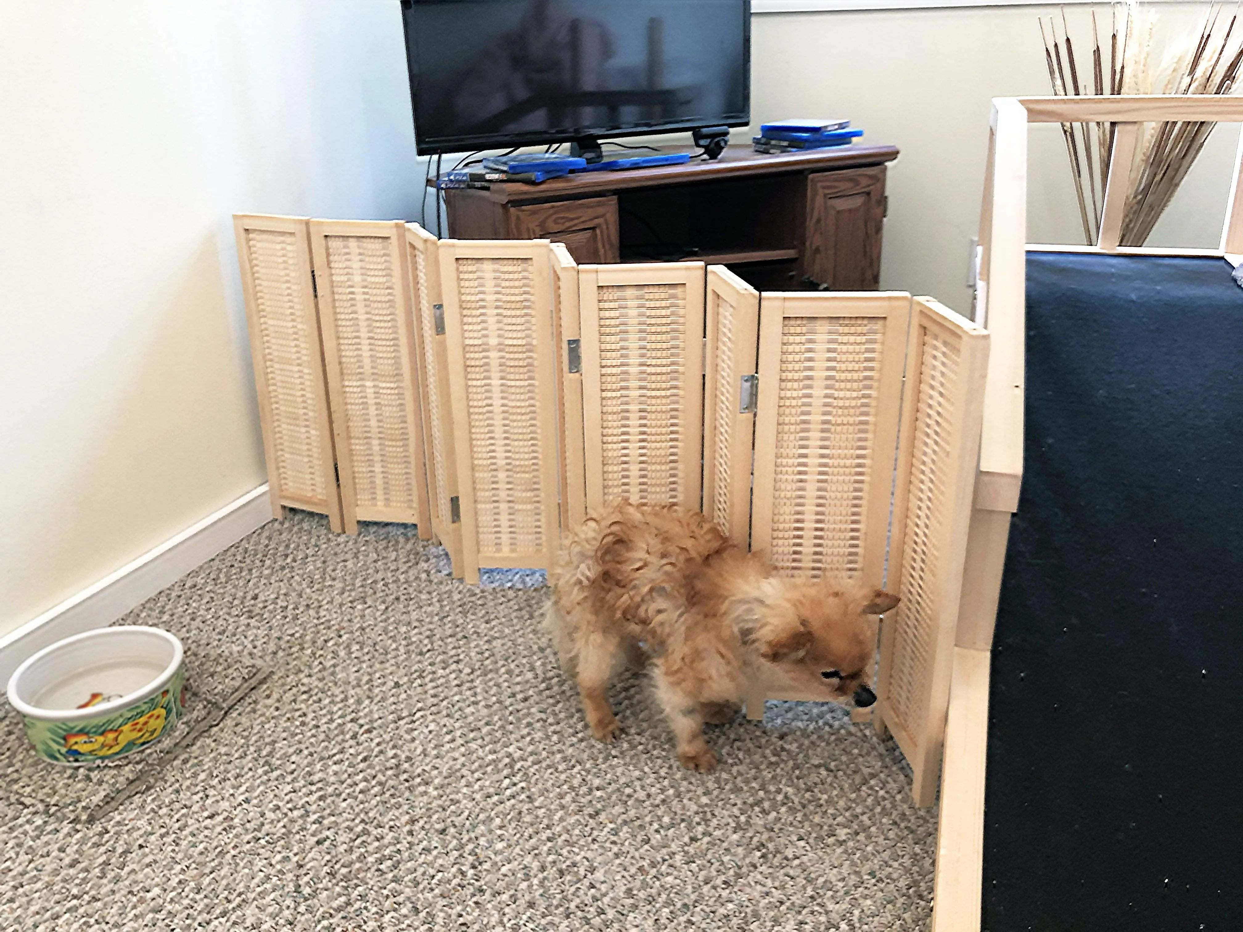 Bamboo Blocker™ - Foldable Accordion Dog Barrier