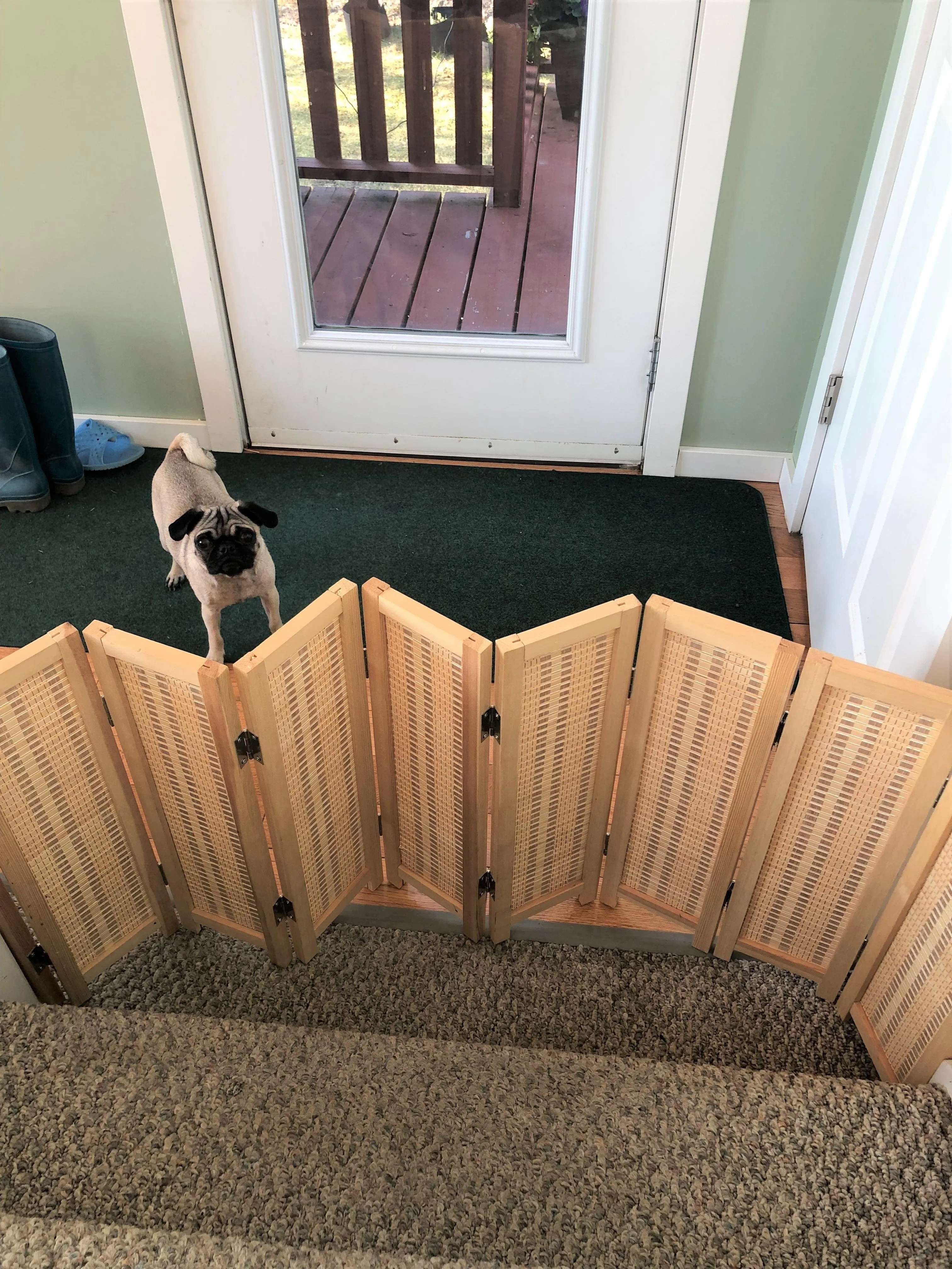 Bamboo Blocker™ - Foldable Accordion Dog Barrier