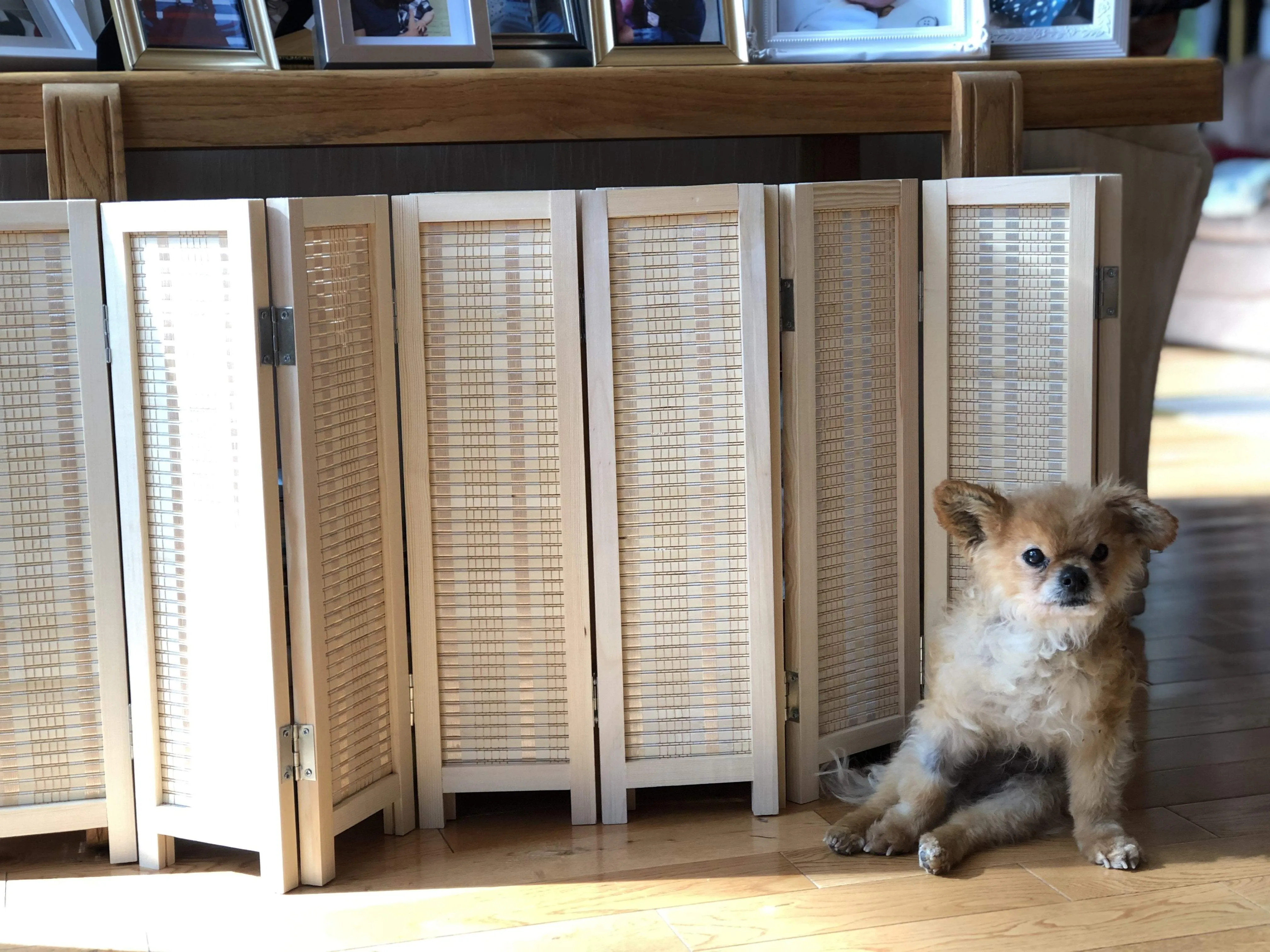 Bamboo Blocker™ - Foldable Accordion Dog Barrier