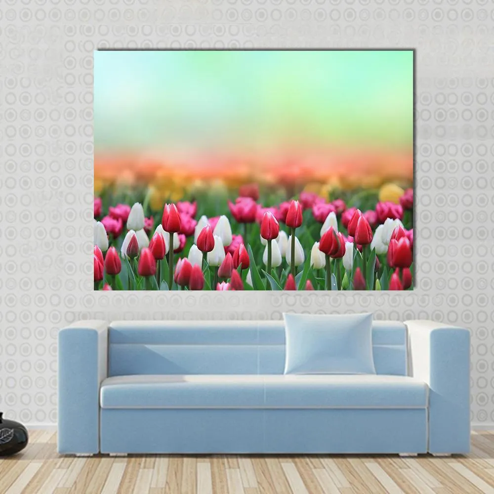 Beautiful Tulips Field Canvas Wall Art