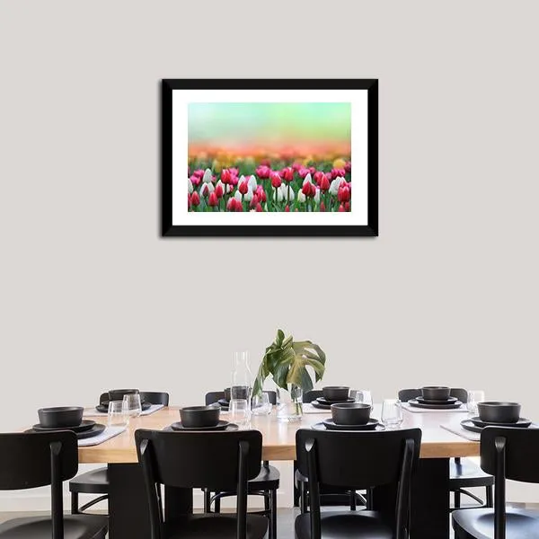 Beautiful Tulips Field Canvas Wall Art