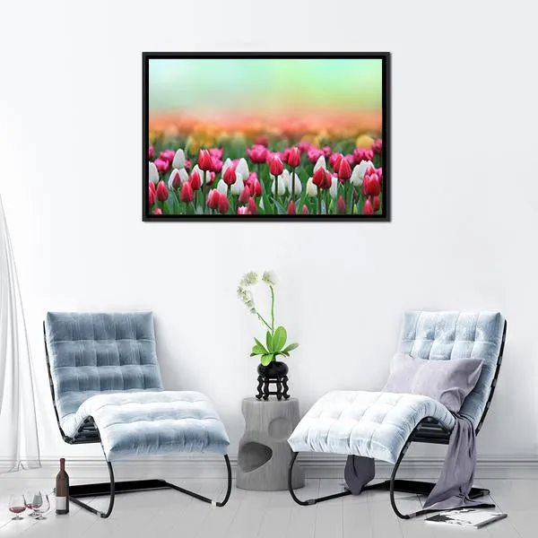 Beautiful Tulips Field Canvas Wall Art