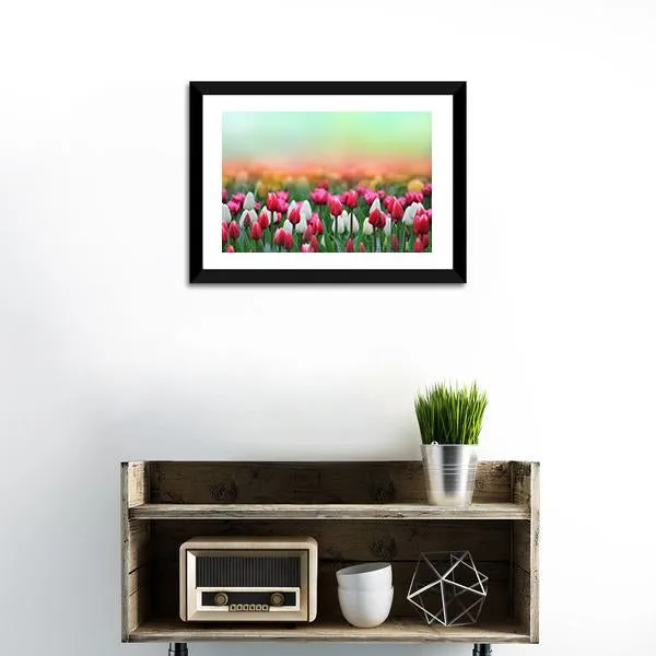 Beautiful Tulips Field Canvas Wall Art