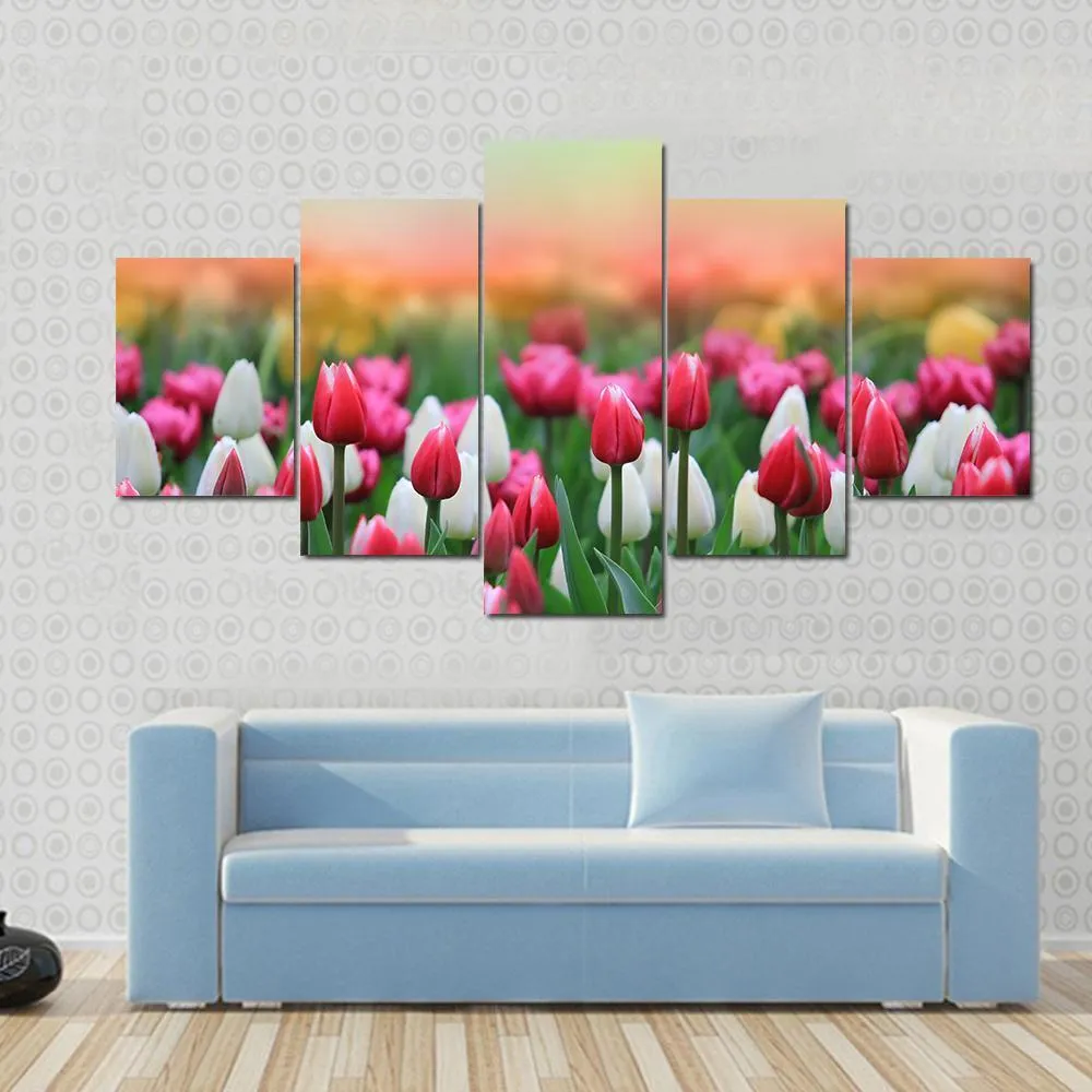 Beautiful Tulips Field Canvas Wall Art