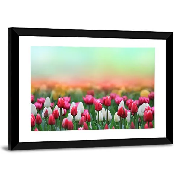 Beautiful Tulips Field Canvas Wall Art