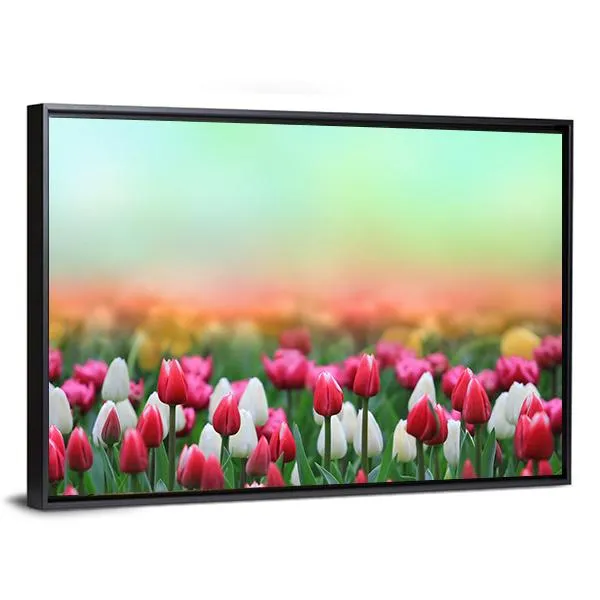 Beautiful Tulips Field Canvas Wall Art