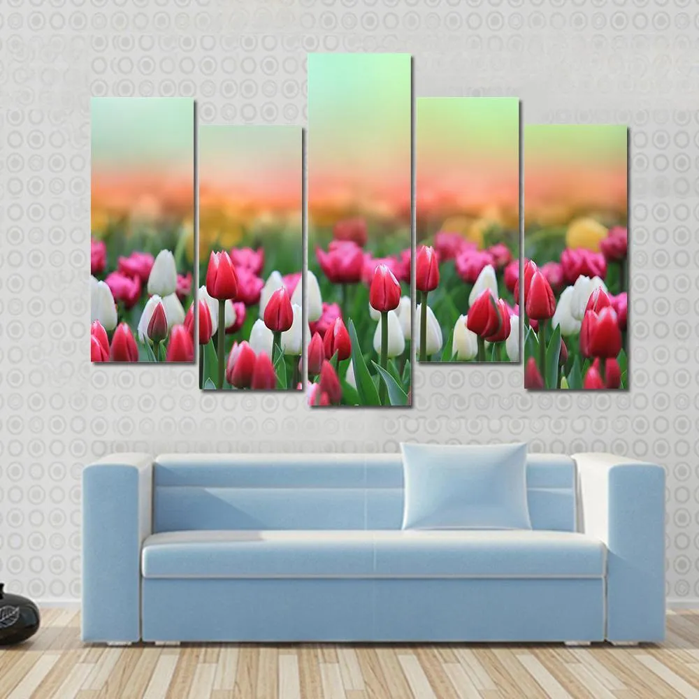 Beautiful Tulips Field Canvas Wall Art