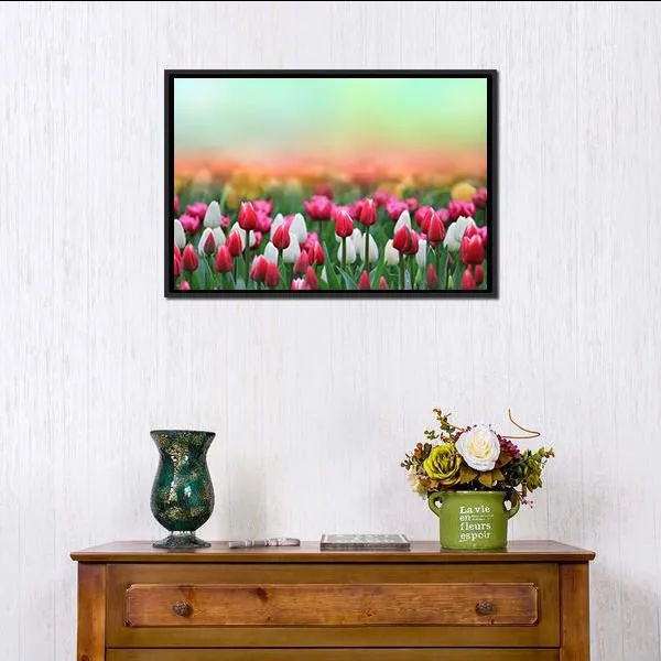 Beautiful Tulips Field Canvas Wall Art