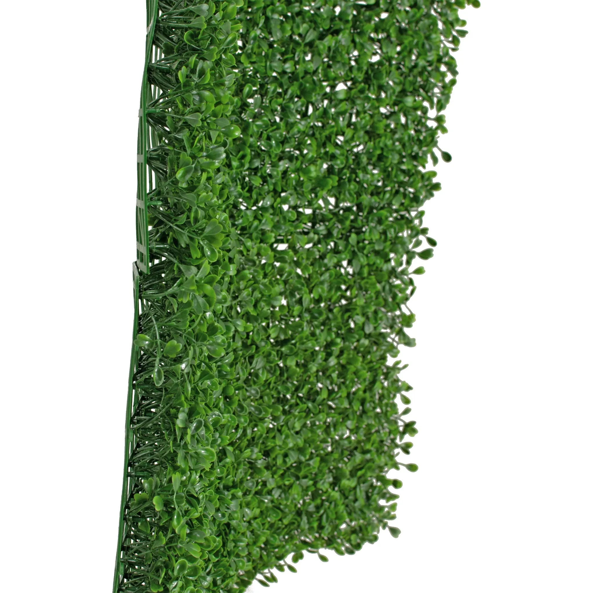 Boxwood Topiary Wall Panels 8 SQFT