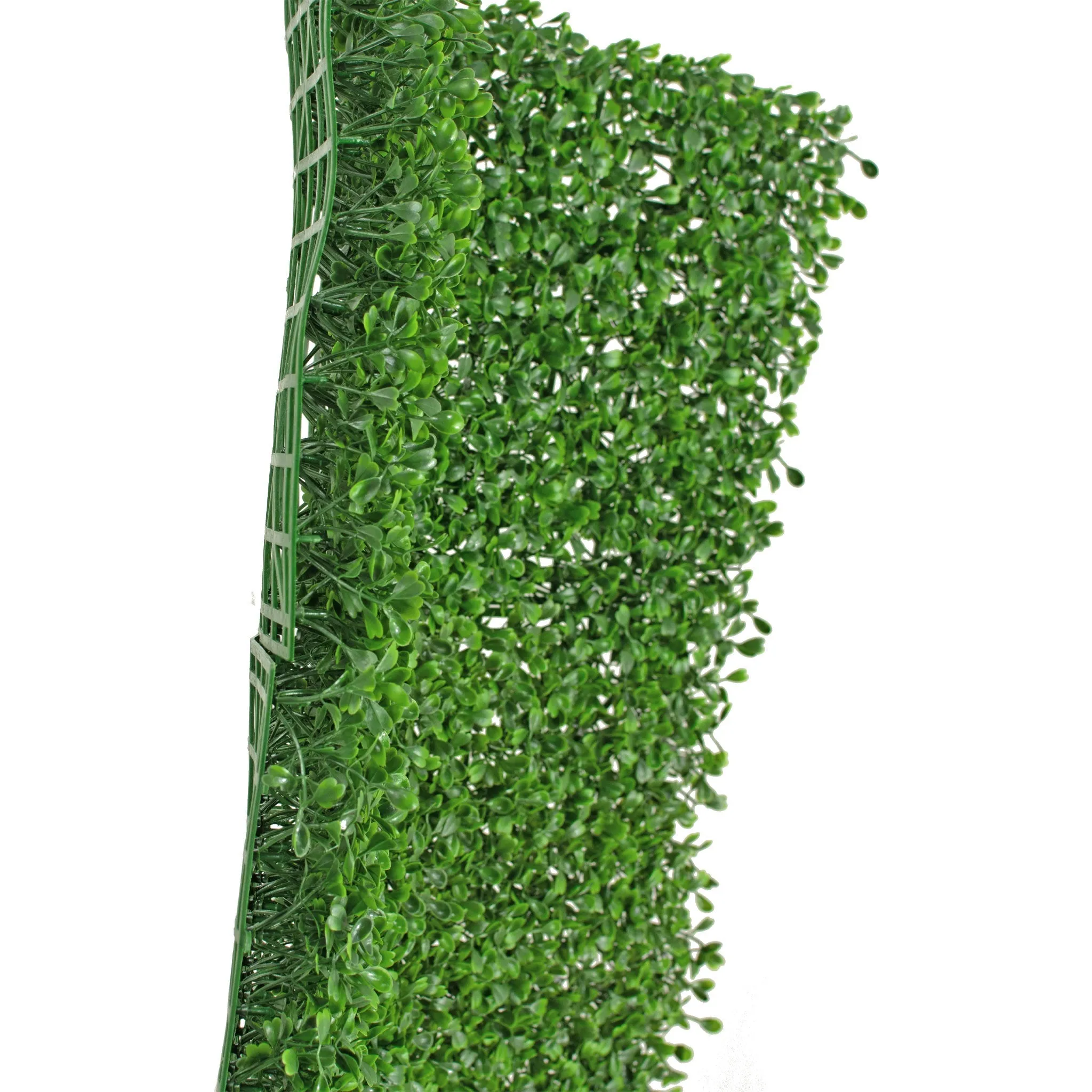 Boxwood Topiary Wall Panels 8 SQFT