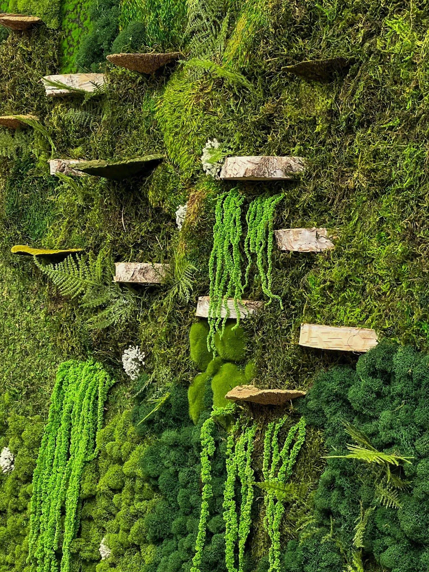 Ecosystem Moss Art Panels