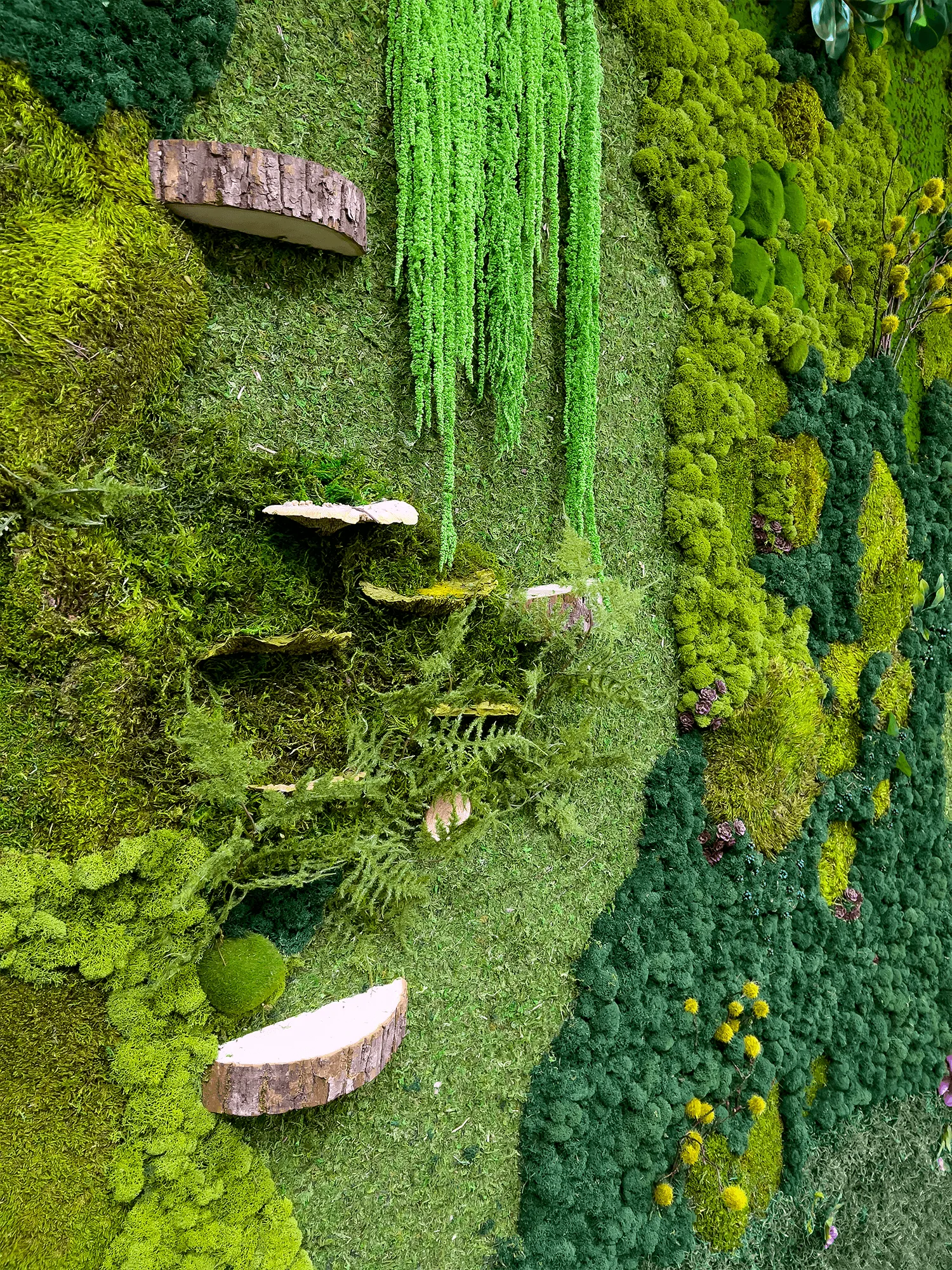 Ecosystem Moss Art Panels