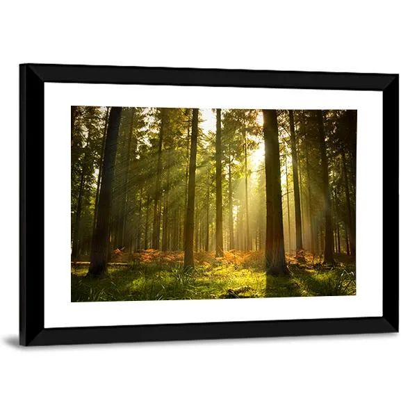 Forest At Dusk Canvas Wall Art