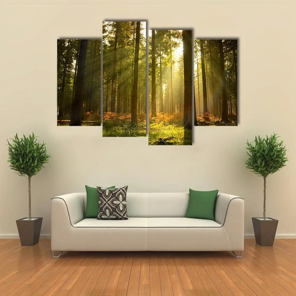 Forest At Dusk Canvas Wall Art