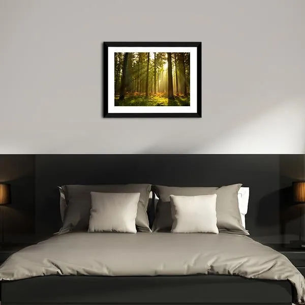 Forest At Dusk Canvas Wall Art