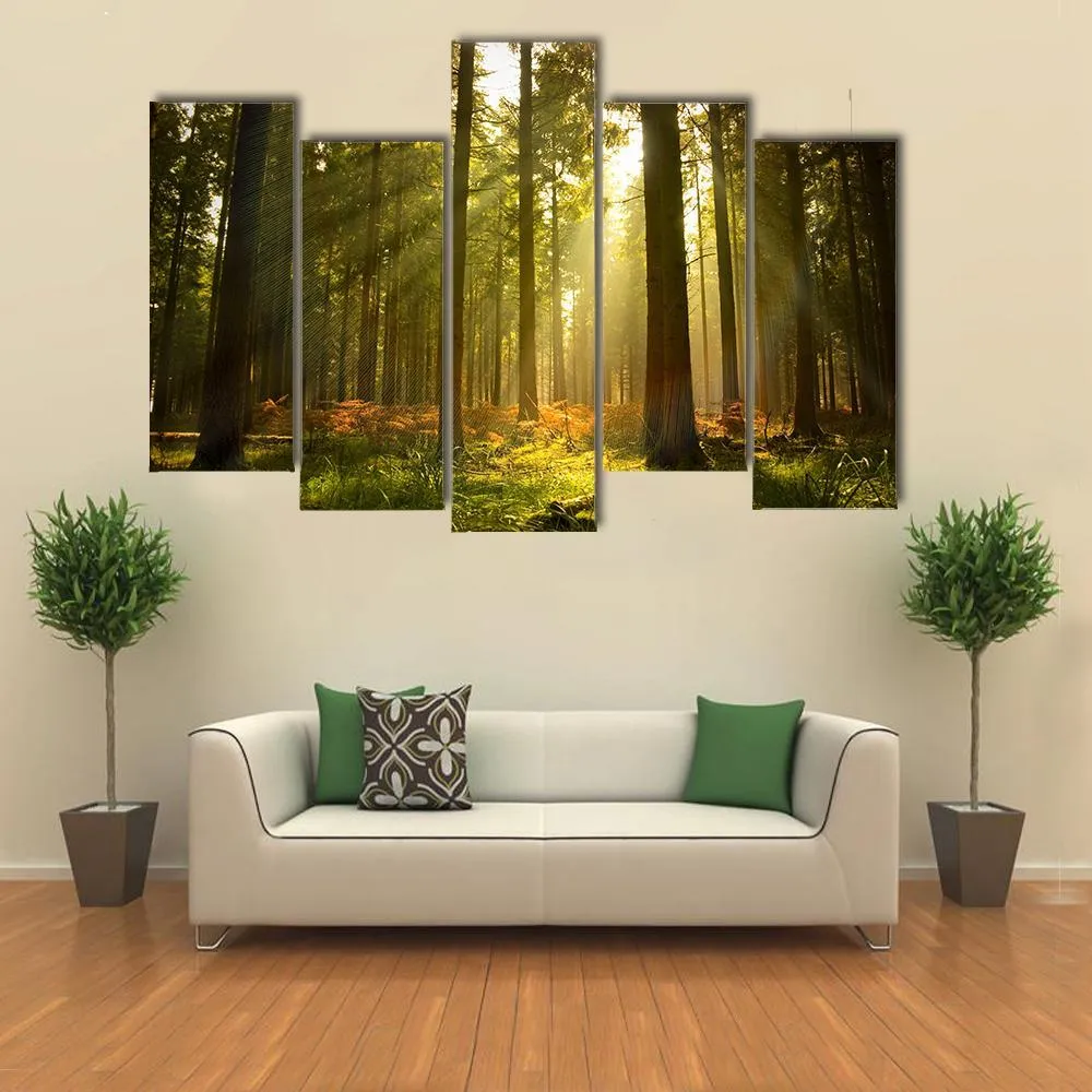 Forest At Dusk Canvas Wall Art