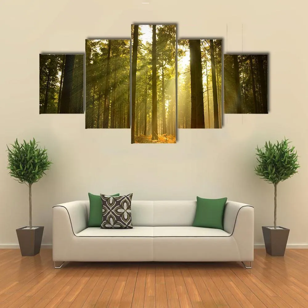 Forest At Dusk Canvas Wall Art