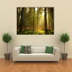 Forest At Dusk Canvas Wall Art