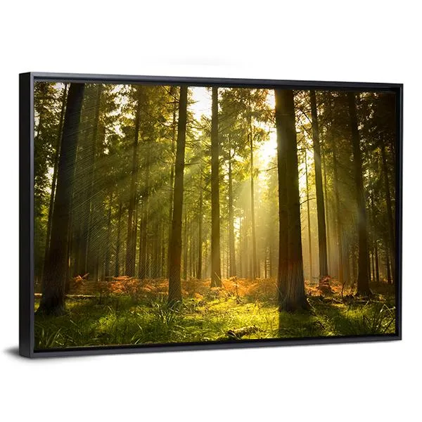 Forest At Dusk Canvas Wall Art