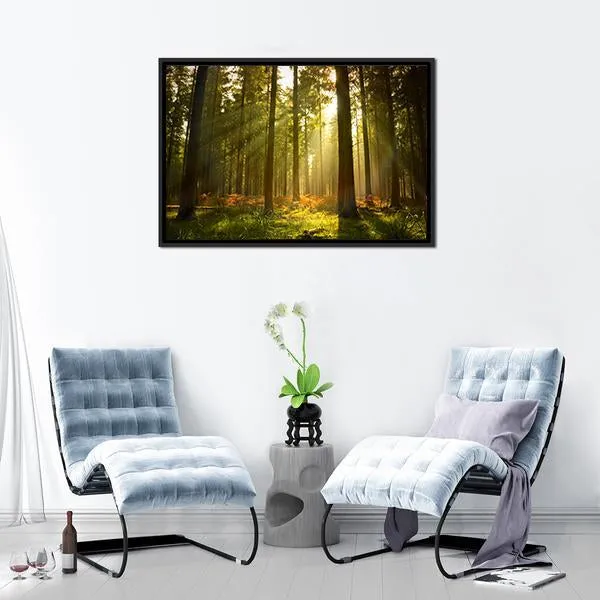 Forest At Dusk Canvas Wall Art