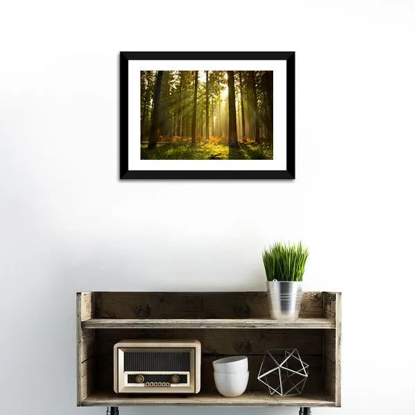 Forest At Dusk Canvas Wall Art