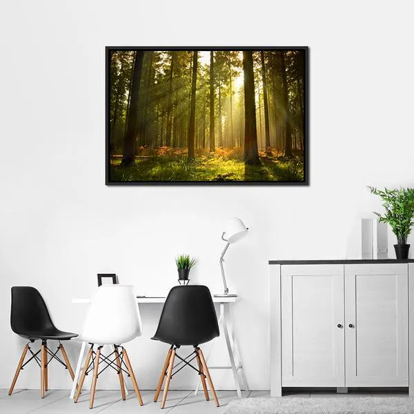 Forest At Dusk Canvas Wall Art