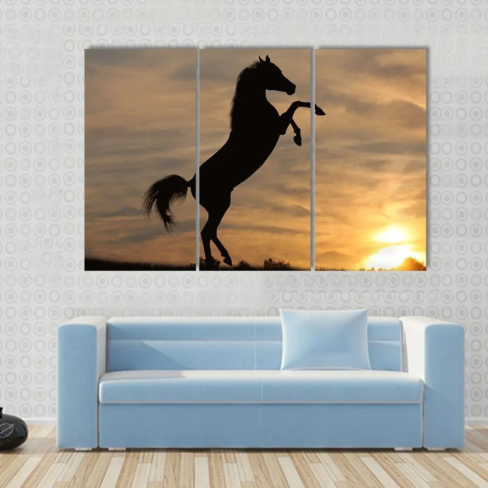 Horse In Sunset Canvas Wall Art