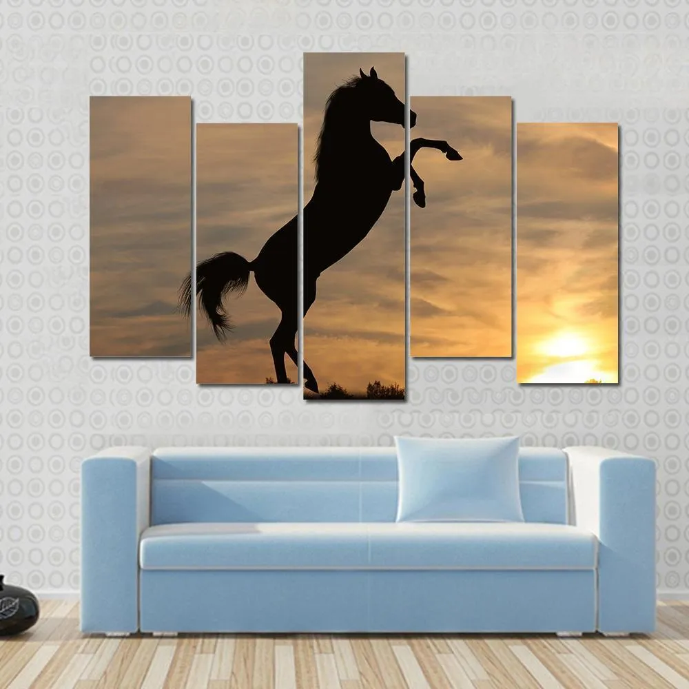 Horse In Sunset Canvas Wall Art