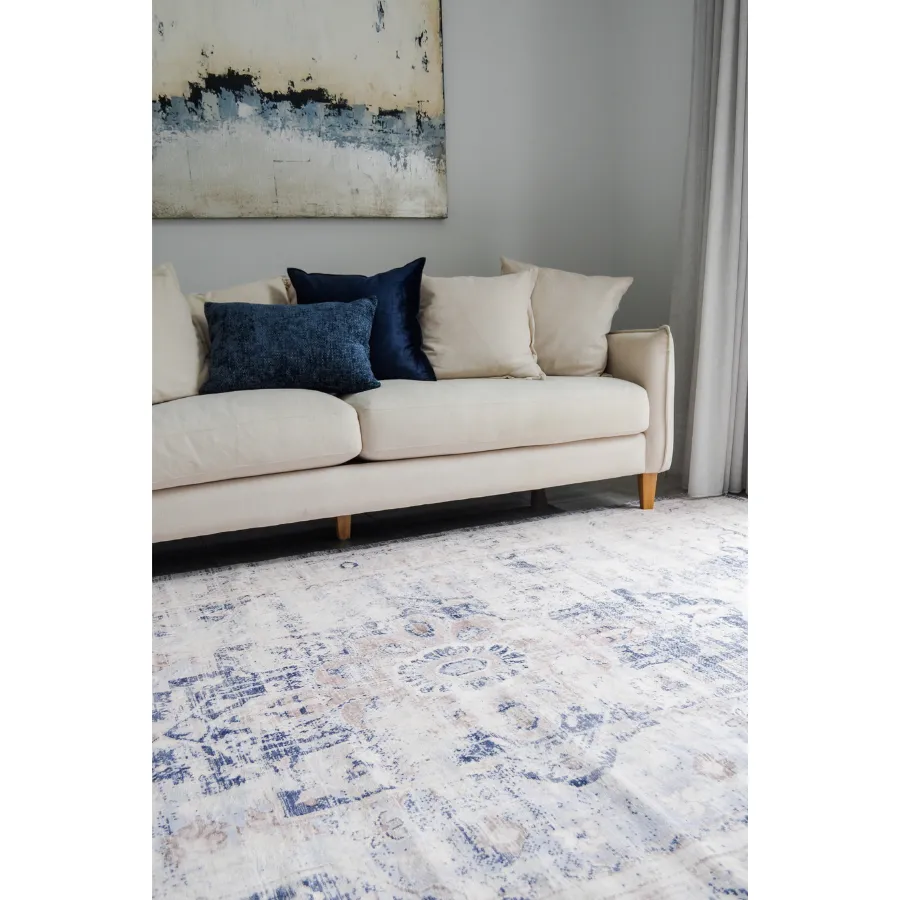 Kiara Distressed Machine Washable Area Rug