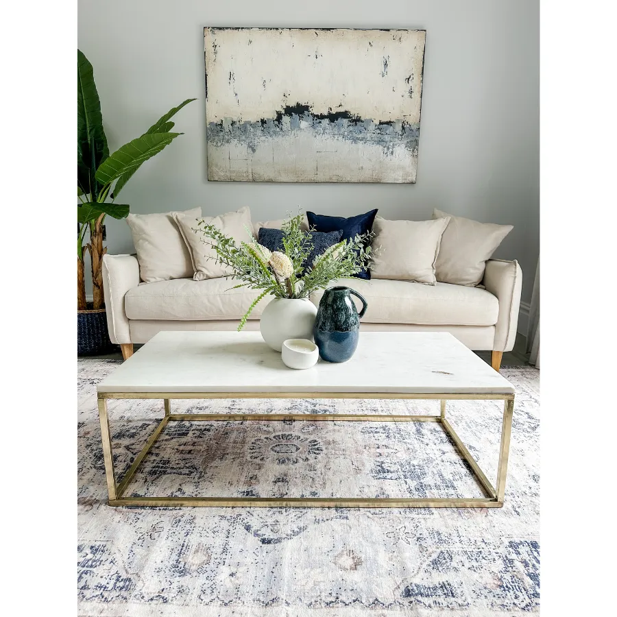 Kiara Distressed Machine Washable Area Rug